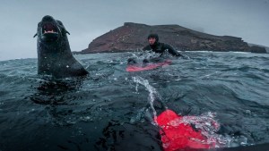 Antártida &#8211; Dominio Uno: estrena en la Patagonia una fascinante película narrada por Ricardo Darín 