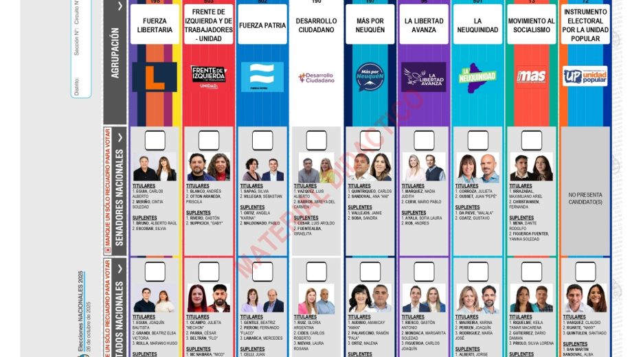 El modelo de BUP para Neuquén. Aún no está oficializado. 