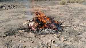 Cipolletti: incautaron carne de un matadero clandestino y multaron al dueño