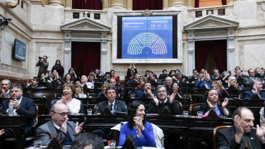 Cómo votaron los diputados de Neuquén, Río Negro y la Patagonia el veto a la Emergencia en Discapacidad