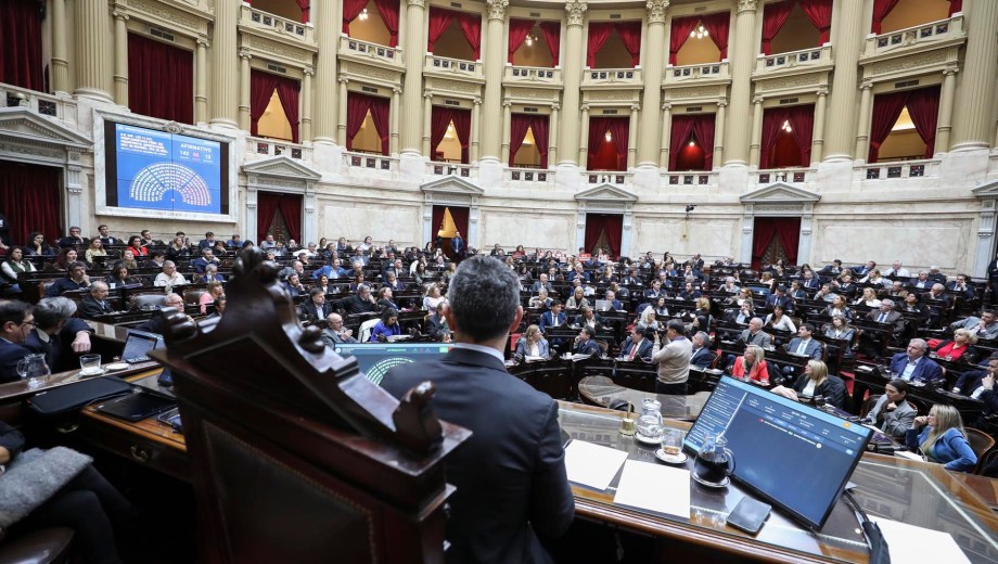 Diputados: la oposición acelera el debate de la ley que busca frenar los DNU de Javier Milei. Foto: Gentileza.  