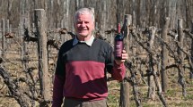 Imagen de Campo Grande: una bodega con más de 60 años de historia en 20 hectáreas de viñedos
