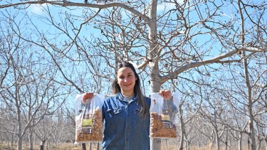 La producción de almendras y nueces en Campo Grande tiene valor agregado