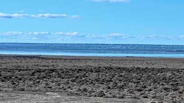 El lago Pellegrini despierta interés y negociaciones entre municipios del Alto Valle