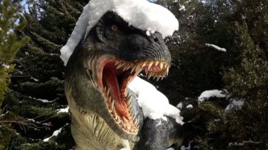 Un bosque de gigantes en Bariloche: dinosaurios en la nieve y un paseo mágico para hacer con chicos