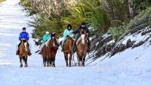 San Martín de los Andes: diez excusas perfectas (y una más) para una escapada a la cordillera