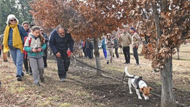 El privilegio de vivir una cacería de trufas en El Bolsón: un tesoro bajo el bosque