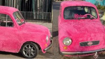 Imagen de El fitito viral de peluche rosa que conquista calles y redes sociales