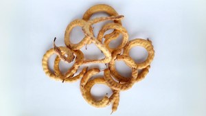 Innovación en Río Negro: de subproductos a ingredientes aprobados en el Código Alimentario Argentino