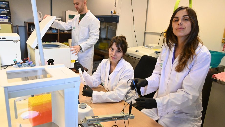 La radiobiología permite personalizar las dosis de radiación en el tratamiento del cáncer. Foto: Alfredo Leiva