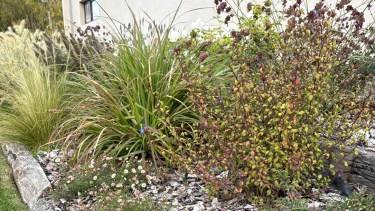 Praderas: el tiempo de jardines más sustentables en el Alto Valle