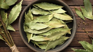 Dónde colocar hojas de laurel para atraer riqueza y bienestar, según el Feng Shui