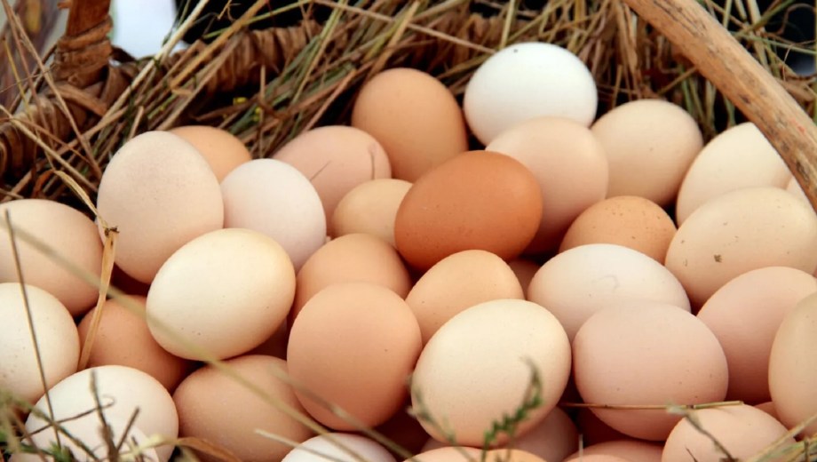 Huevos per cápita en Argentina.