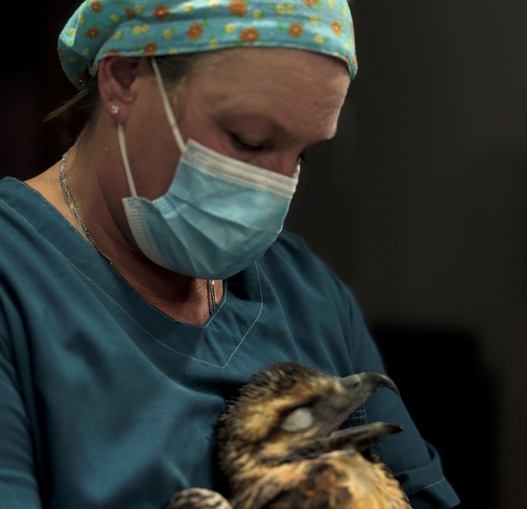 Bárbara, la veterinaria de Junín de los Andes que se abocó a la ...