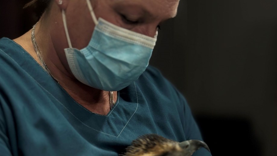 Bárbara estudió Veterinaria en la Facultad de Casilda, en Santa Fe. Foto: gentileza