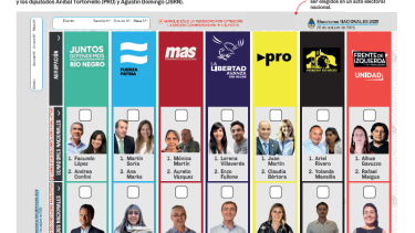 La mayoría de los 19 candidatos con cargos públicos en Río Negro podrán seguir en sus funciones