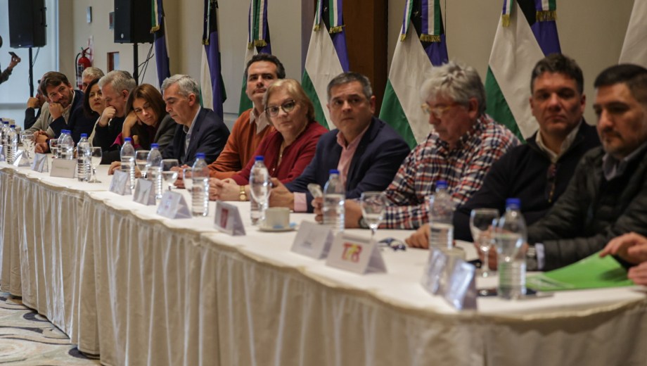 Juntos Defendemos Río Negro está integrada por 13 partidos de la órbita nacional, provincial y municipal. Foto: Gentileza