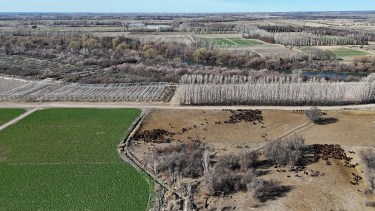Otra agricultura es posible en el Alto Valle del río Negro