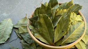El ritual con tres hojas de laurel para atraer abundancia sobre el final de agosto 2025