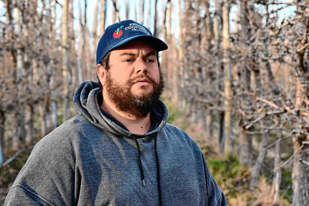 Jeremías Aventín Moretti: "Soy uno de esos a los que la fruticultura no le tocó, sino que la eligió." Foto: Juan Thomes.