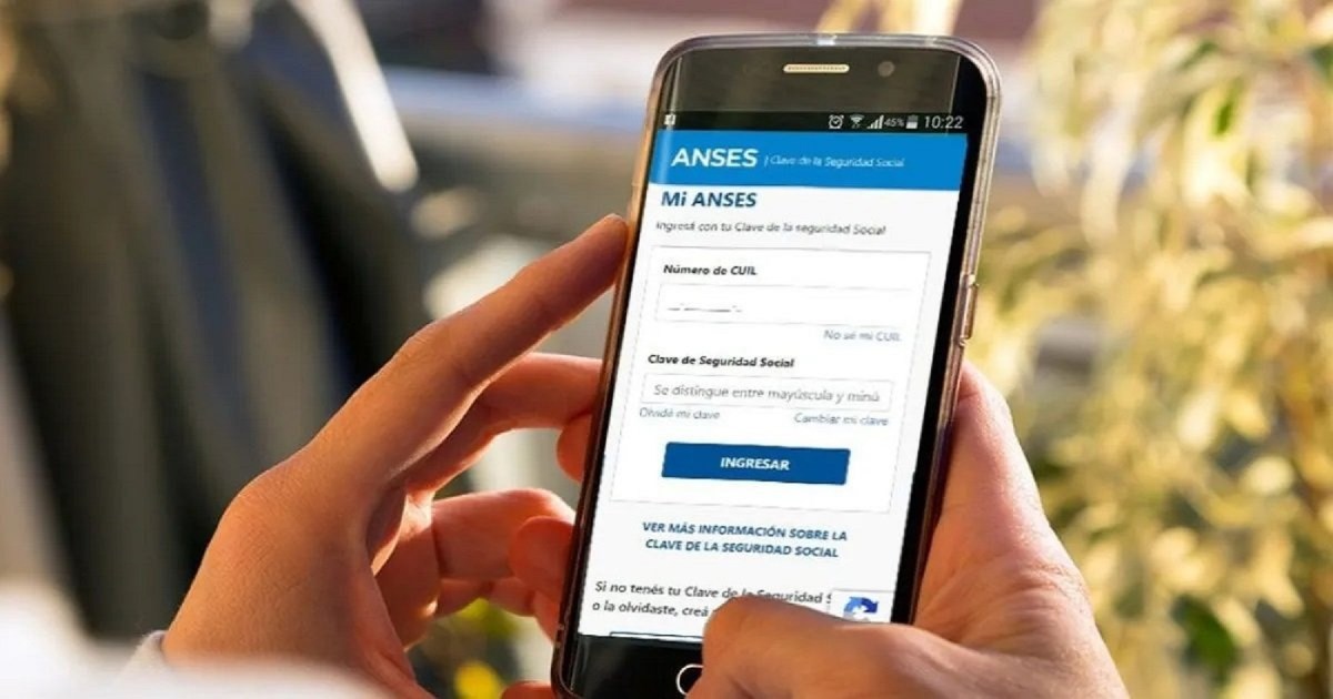 Cuál es el trámite de Anses que se resuelve en segundos y es necesario ...