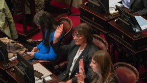 Mónica Silva acompañó la ley de emergencia sanitaria pediátrica en el Senado