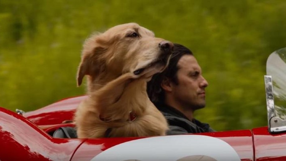 “Mi amigo Enzo” en Netflix. 