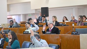 Renuncia en el Deliberante de Neuquén: un concejal deja su banca y confirmaron a su reemplazante