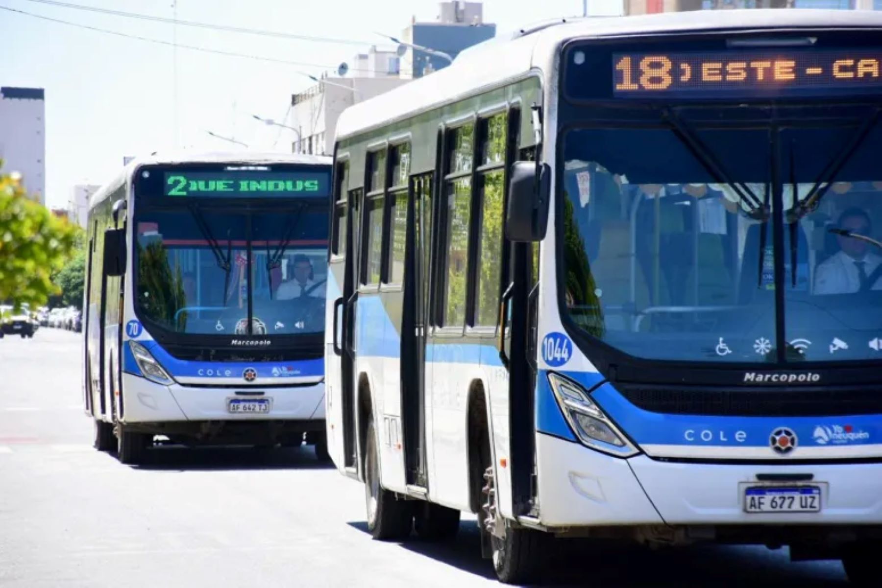 Neuquén, uno de los boletos de colectivo más económicos del país