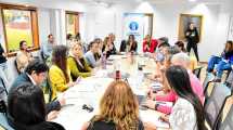 Imagen de El Deliberante redacta el nuevo código de Faltas para la ciudad de Neuquén