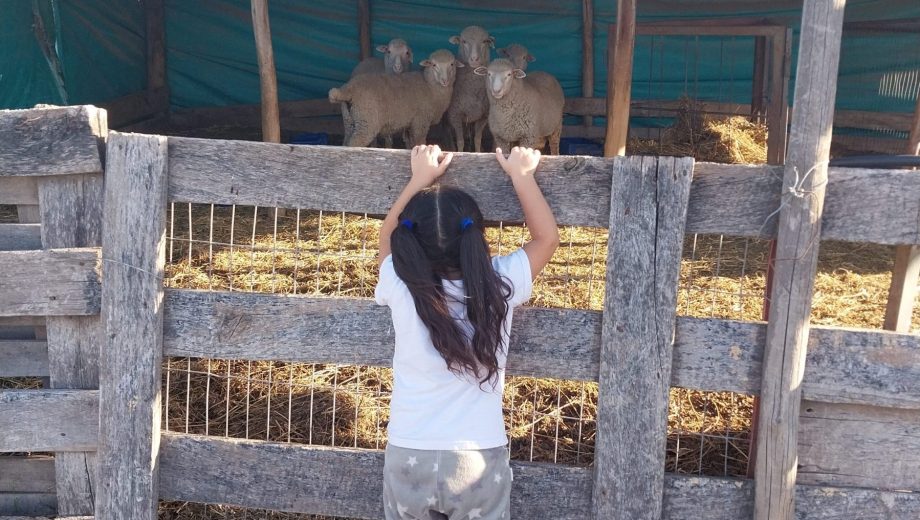 Los accidentes en ámbitos rurales suelen ser más graves.