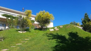El costo de parquizar en Neuquén: riego, tierra, plantas, césped y el precio si es un jardín «llave en mano»