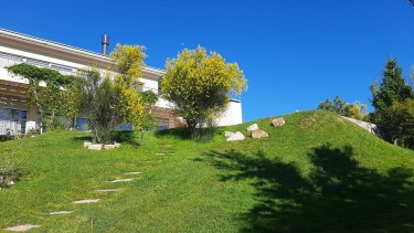 El costo de parquizar en Neuquén: riego, tierra, plantas, césped y el precio si es un jardín «llave en mano»
