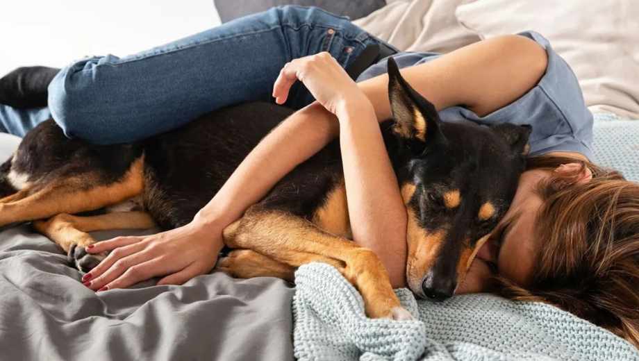 Hablar con tu perro tiene beneficios y un significado.-