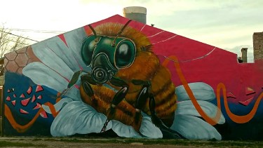 Un mural de San Antonio Oeste compite para ser elegido como uno de los mejores del mundo