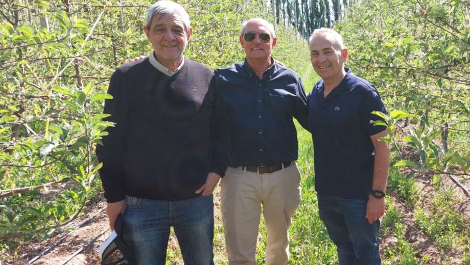 En el monte frutal, Jorge Toranzzo junto al productor Marcelo Sánchez y el ingeniero José Ginobili (de izquierda a derecha).
Foto gentileza. 