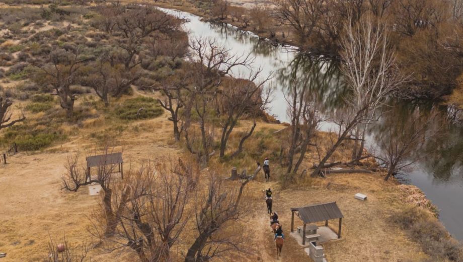 Un grupo de cabalgantes recorre el sendero del complejo El Cisne, junto al río en Senillosa, Neuquén. El paseo combina naturaleza autóctona y tranquilidad, con la oportunidad de disfrutar una merienda o almuerzo casero en el mismo predio. Foto gentileza. 