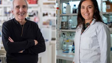 Dos científicos de Conicet ganan un prestigioso premio nacional: Alberto Kornblihtt y María Laura Mascotti