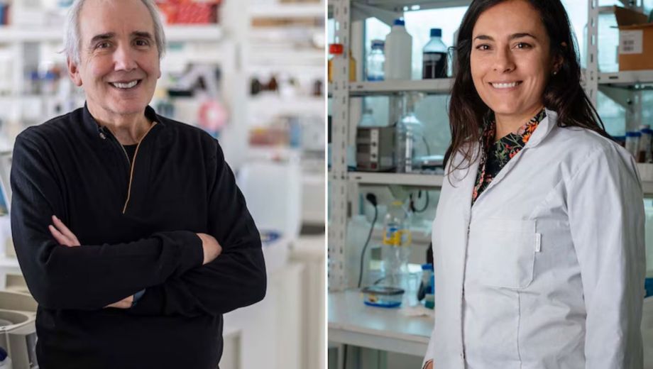 Alberto Kornblihtt y María Laura Mascotti fueron reconocidos por sus aportes científicos por la Fundación Bunge y Born. 