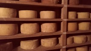 Brote de listeriosis: confirman vínculo con queso criollo y alertan por medidas de prevención