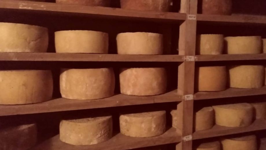 El queso criollo de baja escala, identificado como fuente del brote, fue retirado de circulación mientras continúan los controles sanitarios. Foto ilustrativa. 