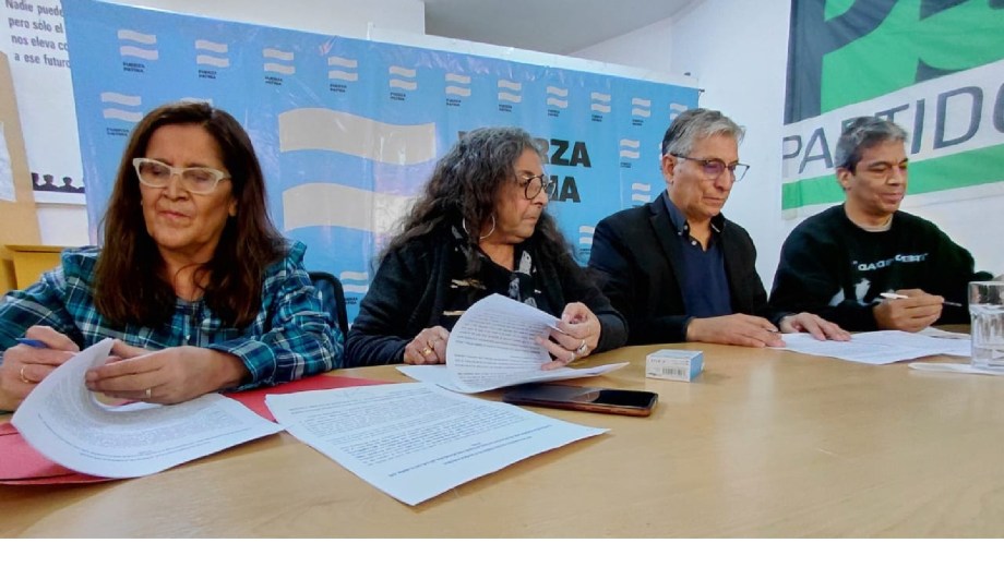 Tras la renuncia de Darío Martínez a la presidencia del PJ, se formó Fuerza Patria con cuatro partidos. (Gentileza)