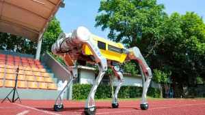 Un robot cuadrúpedo chino estableció el récord Guinness en 100 metros lisos: “En el camino correcto”