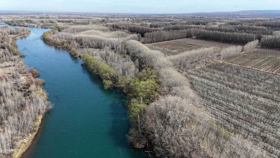 El río Limay, testigo de la floración de los ciruelos en Neuquén. Foto: Florencia Salto.
