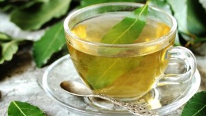 Té de laurel en ayunas: por qué hay que tomarlo todos los días y para qué lo recomiendan 