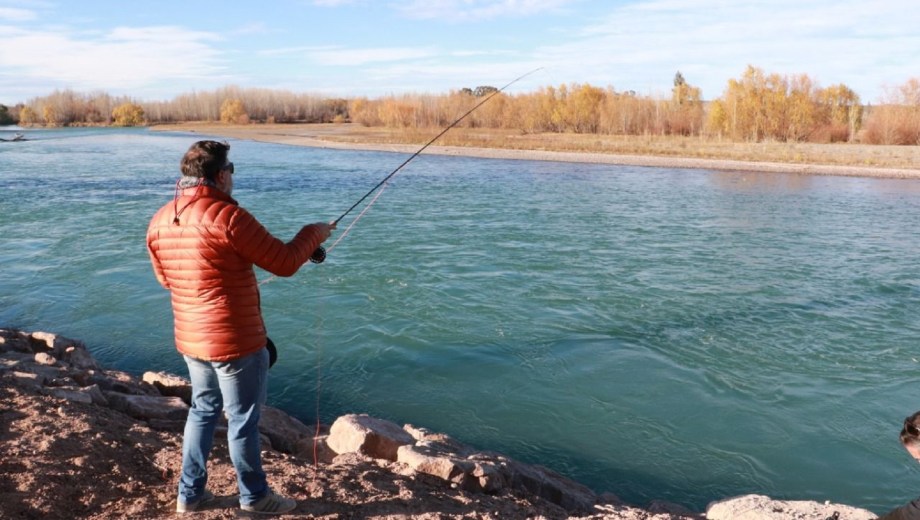 Qué hacer si pescás el pez exótico que llegó del Atlántico al Limay. Foto: archivo.