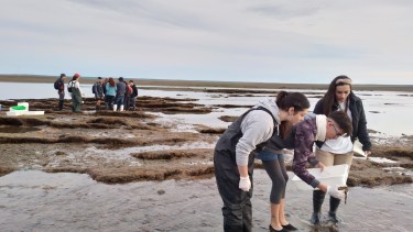 Streaming del CONICET: así es la carrera de la Universidad del Comahue que forma investigadores marinos