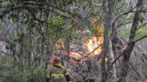 Indemnización millonaria para un brigadista en Bariloche: cayó en un operativo y su vida cambió para siempre