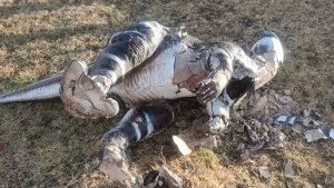 Vandalismo en el Camping Municipal de Villa El Chocón: dañaron instalaciones y figuras de dinosaurios