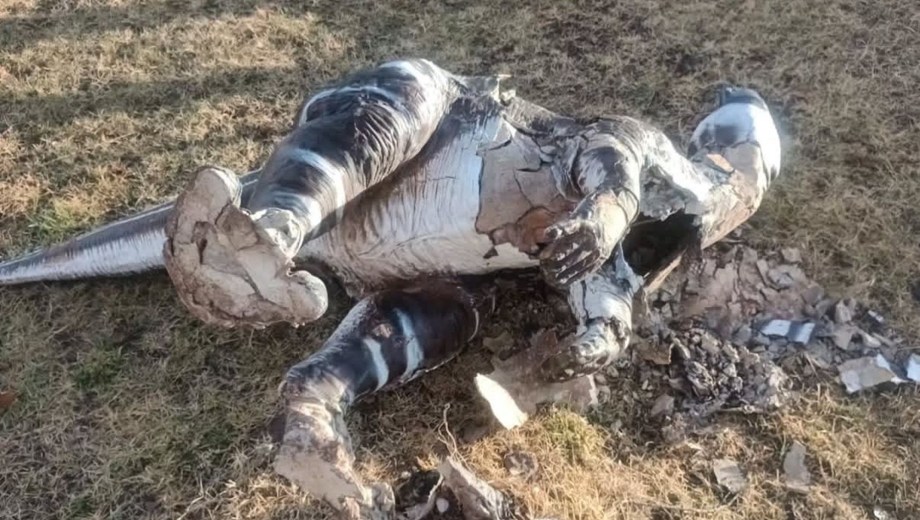 Vandalismo en el Camping Municipal de Villa El Chocón. Foto: gentileza.